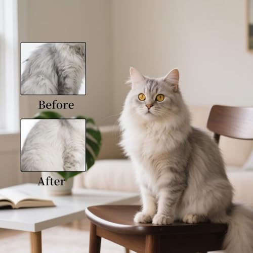 Image of Cat Brush for Shedding - Perfect Grooming Tool for Long-Haired Cats | Deshedding & Hair Remover for Indoor Pets