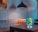 Exerz 23cm Globo terráqueo Iluminado- Soporte de Metal - Mapa de Ingles...