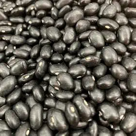 FEIJAO PRETO ARGENTINO 1KG