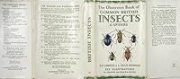 Observer's Book of Common Insects and Spiders (Observer's Pocket) 0723200599 Book Cover