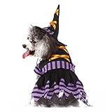↬[Excelentes regalos para mascotas] Haga que su mascota se destaque en la fiesta, los disfraces de Halloween para perros son excelentes regalos para su mascota o la mascota de un amigo, agregue un ambiente festivo fuerte y alegre.