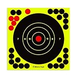 lamphle 10 Pcs Exquisite Pattern Papers for Shooting Targets, Impact Blasting Effect Multiple-Holes Highly Visibility Shooting Target, 4 Styles Indoor Outdoor Shooting Targets for The Range 3