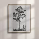 Rustic Tree Sketch Wall Art - Vintage Botanical Drawing, Primitive Etching Decor, Antique Botanical Wall Art for Home Decoration
