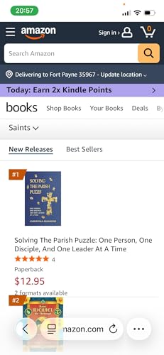 So, this happened overnight....the book actually went to #1!
