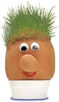 Mr GrassHead