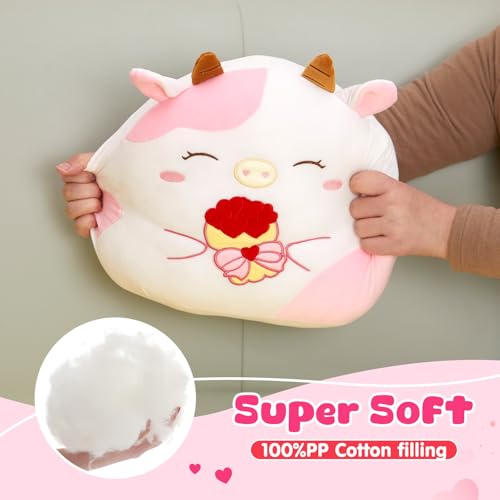 Image of Plush Pillow Stuffed Animals Toys Birthday Cute Soft Flower Gift Graduation