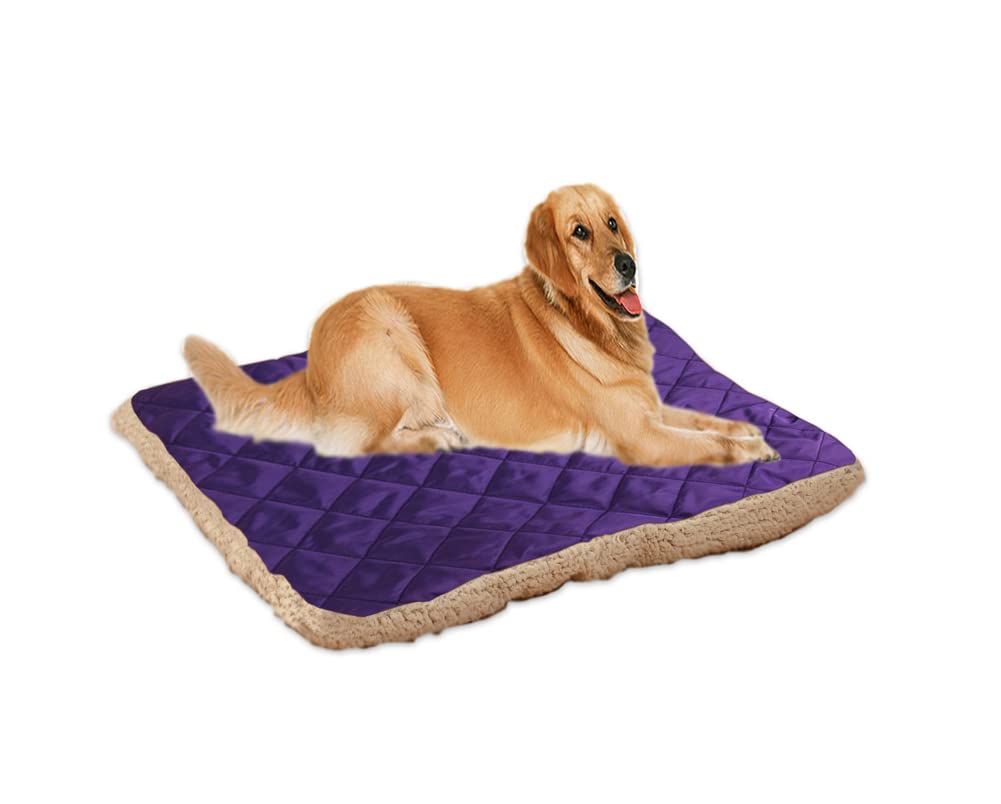 Hondenbed met comfortschuimkern grijs 70x50 cm M, hondenkussen