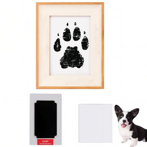 Lifetips EFVER[M[EJ[fBK ybgp  X^v Lbg ^  ``X^v `쐬Lbg LO  Ȃ `    ` ^ ȒP S y Ճpbh IWi vg ] 