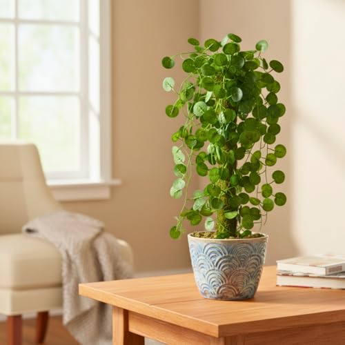 Image of fancymart Artificial Green Leaf Hanging Creeper on Moss Stick (Without Pot) - 60 cm Tall Hanging Creeper Plant for Indoor Home, Office, Restaurant & Cafe Decoration