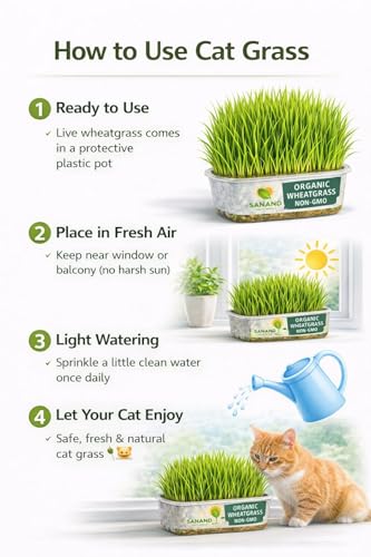 Image of Fresh Live Organic Wheatgrass - Ready to Eat Cat Grass for Indoor Cats & Pets | Grown Green Plant for Hairball Relief, Digestion & Teething | No Seeds, No Growing Needed