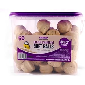 Wild Bird Food Suet Pellets and Fat Balls, Garden Bird Feed (Suet Balls 50p)