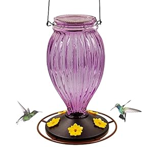 Juegoal Glass Hummingbird Feeders for Outdoors – 37 oz Wild Bird Feeder 5 Feeding Ports, Bud Shaped Metal Handle Hanging for Garden Tree Yard Outside Decoration, Violet