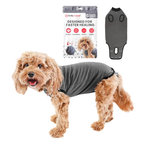 BellyGuard hundebody nach op hündin, op Body Hund kastration rüde, leckschutz für Hunde nach op, Hunde Body Operation hündin