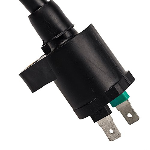 Hifrom Ignition Coil Replacement For Mopeds Scooters Atvs Go Karts Dune Buggy Quad 4 Wheeler Roketa 50 70 90 110 125 Cc Chinese Taotao Sunl #TOP5