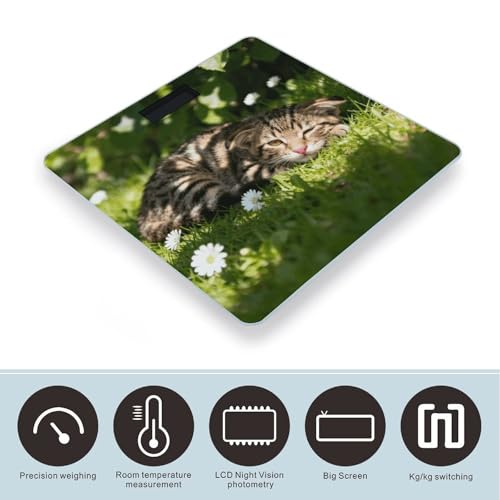 Báscula Digital Cute Cats para el Cuerpo, 180kg miniatura 3