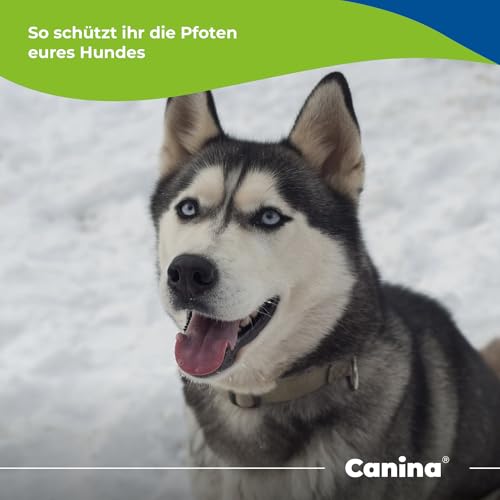 Canina Pfotenbalsam, 100 ml