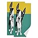 Alarge - Asciugamani divertenti Boston Terrier, per cani, extra assorbenti, morbidi e morbidi, set di 2 asciugamani da bagno sottili per yoga, sport, bagno, cucina, decorazione per la casa