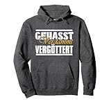 Gehasst, verdammt, vergöttert Pullover Hoodie