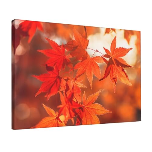 Toile murale moderne feuilles d'érable cadre déco 45x30 cm