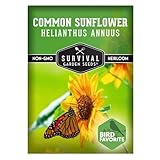 Survival Garden Seeds - Common Sunflower (Helianthus annuus) Seeds for Planting | Giant Bird & Pollinator Magnet | Fast-Growing Native Wildflower - 1 Pack