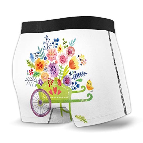 Men's Boxer Briefs,Wheelbarrow Full of Flowers Botanical Gardening Plants Agriculture Watercolor Art,XL