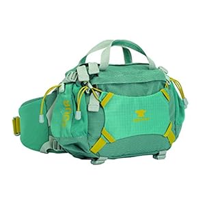 Mountainsmith Tour SM Lumbar Pack, Sage Blue
