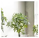 Zoom IMG-1 rutavm alberi artificiali albero artificiale Zoom IMG-1 rutavm alberi artificiali albero artificiale