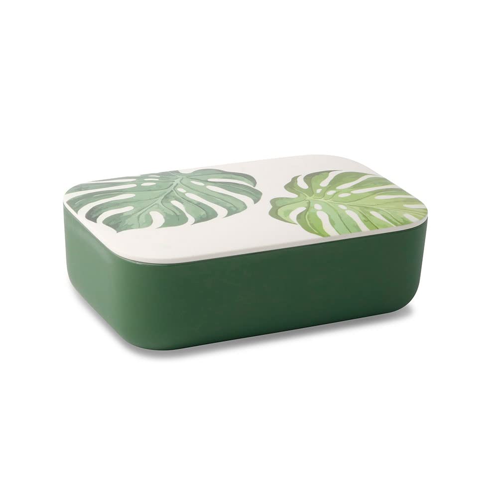 BIOZOYG 24x PLA fiambrera caja decorativa, contenedor biodegradable para llevar, jardín de infantes 18,8x12,5x6,3cm