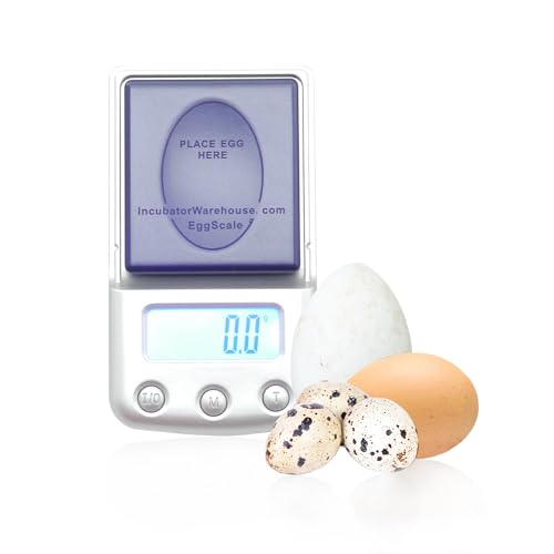 Incubator Warehouse Digital Egg Scale