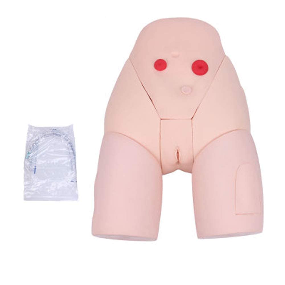 IVQAPP Female Urinary Catheterization Model for Practicing Urethral Catheterization/Enema/Gluteal Intramuscular Injection/Colostomy Care