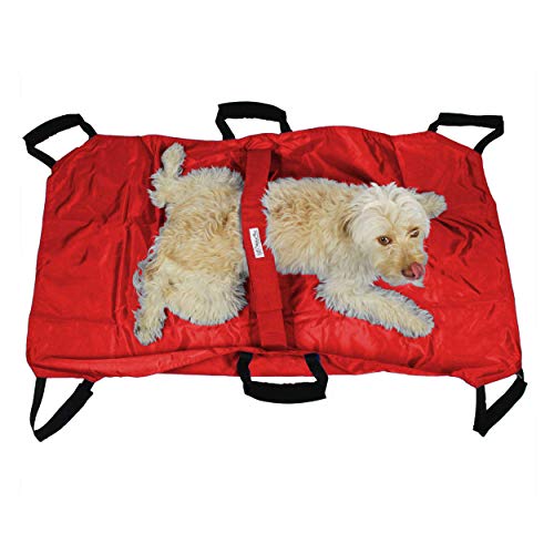 Transport Stretcher for Dogs | Emergency Animal Carrier with Safety Strap | 250 Pound Weight Limit | Pet Stretcher Size: 47 L X 29 W inches