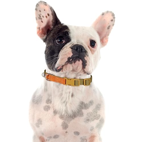 Collar para perro ajustable de poli algodón con acentos en cuero marrón M miniatura 2