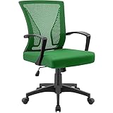 Furniwell Mid Back Mesh Desk...