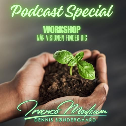 Podcast Special - N&aring;r visionen finder dig