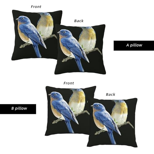 Housse de coussin oiseaux imprime haute definition pour salon