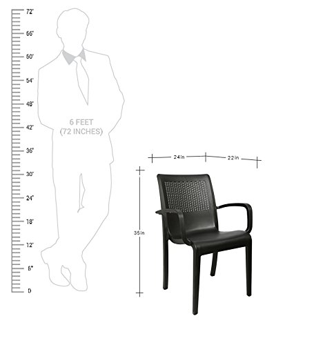 Image of Cello Ecstasy Chair Set Pack of 2 - Black | Strong and Durable | Easy to Clean | Chair for Living Room, Bed Room, Kitchen, Office Room, Outdoor | 3 Years Warranty