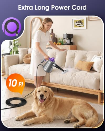 Image of Handheld Steam Cleaner for Home, Pressurized Steamer for Cleaning Couch Carpet Car Upholstery Mattress Furniture with 14 Accessories & Safety Lock, Small Container for Grease
