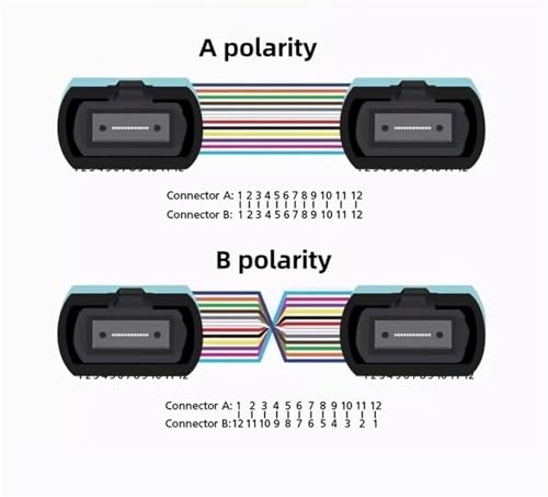 Ficha técnica RGFDLJN Cordón de conexión blindado de 12 núcleos monomodo polaridad B Cable óptico for Exteriores con Cubierta Dia. 6.0mm 150m 200m LSZH Both Male 150m - Fernando Cortés