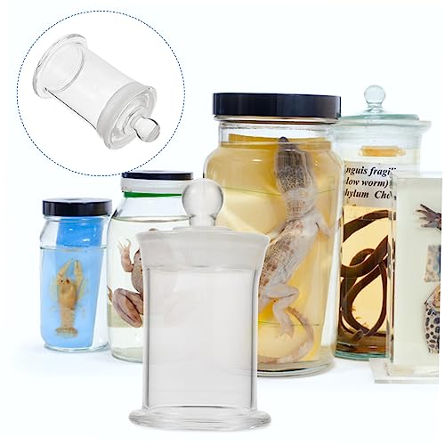 Ciieeo Borosilicate Glass Laboratory Bottle Heatproof Specimen Jar Sealable Lid for Accurate Experiments - Thumbnail 5