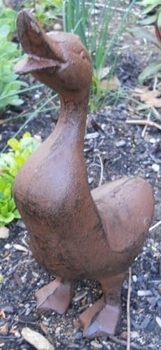 Gsm PD-12446 Full Bodied Cast Iron Duck Garden Figure thumb #2