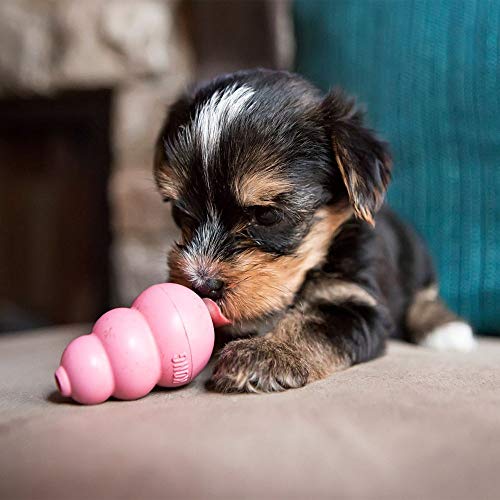 Image of KONG Puppy Chew Toy, Soft & Durable Natural Rubber Fetch Toy for Dogs, Stuff Dog Treats, Interactive Treat Dispenser & Erratic Bounce, for Teething, Crate Training, Assorted Blue /Pink, X-Small