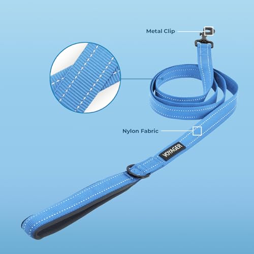 Image of Best Pet Supplies Voyager Reflective Dog Leash or Collar with Neoprene Handle, for Small, Medium, and Large Breed Puppies, Cute and Heavy Duty for Walking, Running and Training - Baby Blue (Leash), L