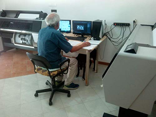 Il Negozio di Alex Quadro Botero Art. 70 cm 50x70