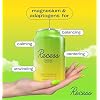 Recess Mood Lime Citrus Functional Sparkling Water, Magnesium & Adaptogen Infused Sparkling Water, 12 Fluid Ounce (Pack of 12)