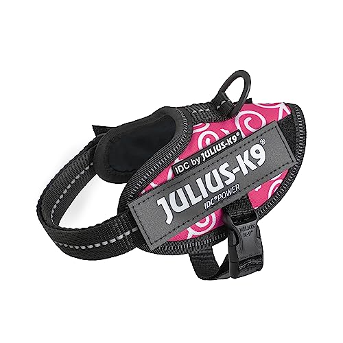 IDCp[n[lX, TCY: 2XS/xCr[2, sN