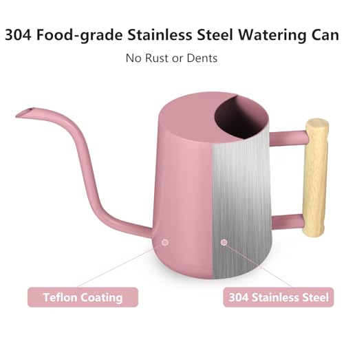 Image of Watering Can Indoor Plants, 35oz Small Indoor Stainless Steel Metal Watering Can Modern Decorative Watering Pot with Long Spout for Indoor House Plant Bonsai Garden Flowers (Pink)