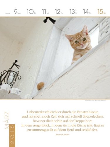 Katzen 2015: Literatur-Wochenkalender