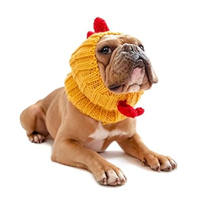 rotisserie chicken dog costume