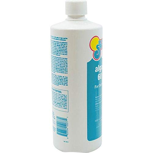 In The Swim Y1300 Algaecide 60 Plus For Swimming Pools thumb #6