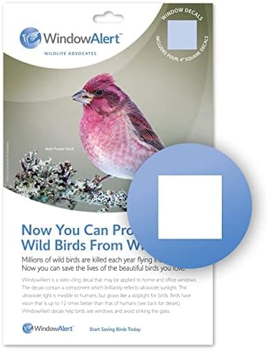 WindowAlert Classic Square Anti-Collision Decal - UV-Reflective Window Decal to Protect Wild Birds from Glass Collisions - Made in The USA